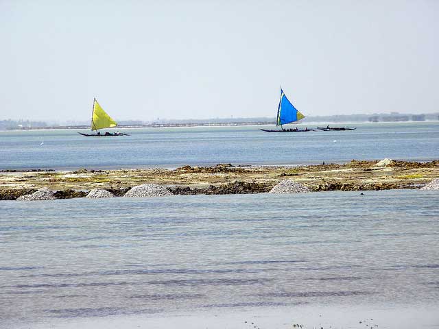 pulicat-lake