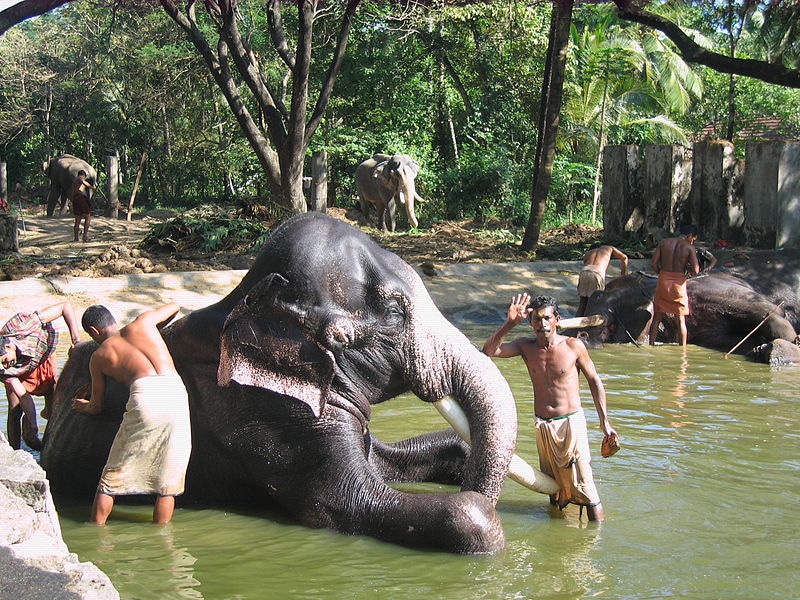 Punnathur Kotta Thrissur