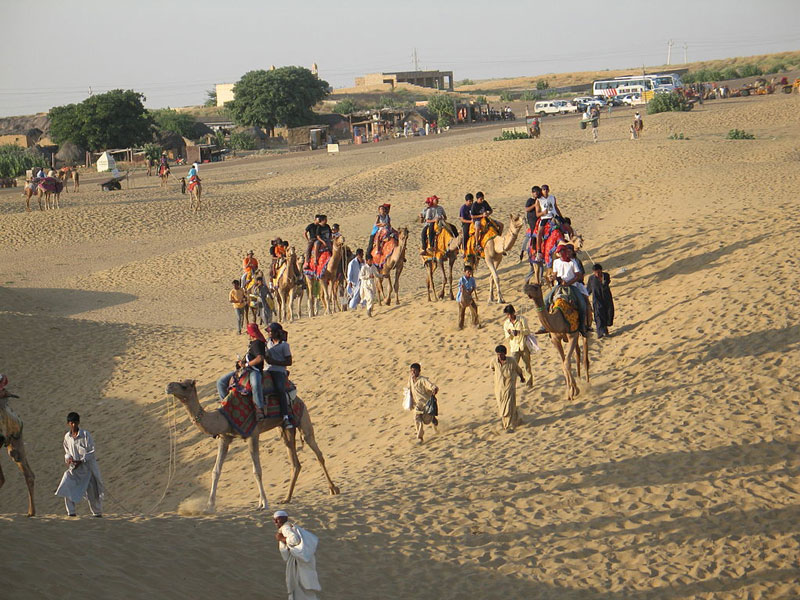 camel safari in gujarat