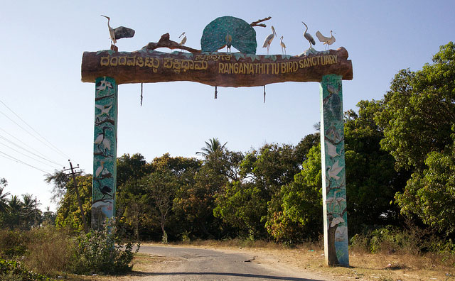 ranganathittu-bird-sanctuary