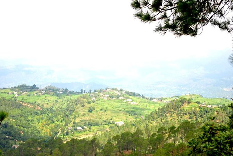 Ranikhet