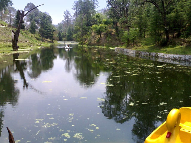 ranikhet-hill-station