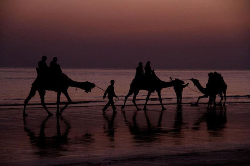 Rann Of Kutch, Gujarat