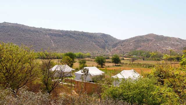 ranthambore-national-park4