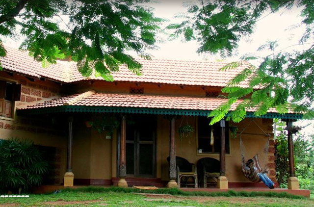 Rare Earth Homestay