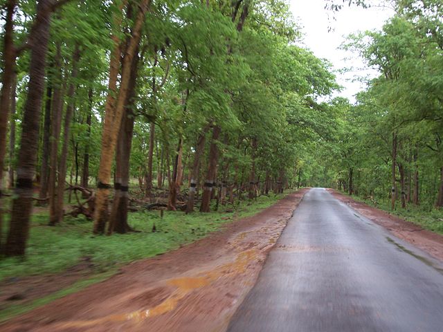 road-near-lambasinghi