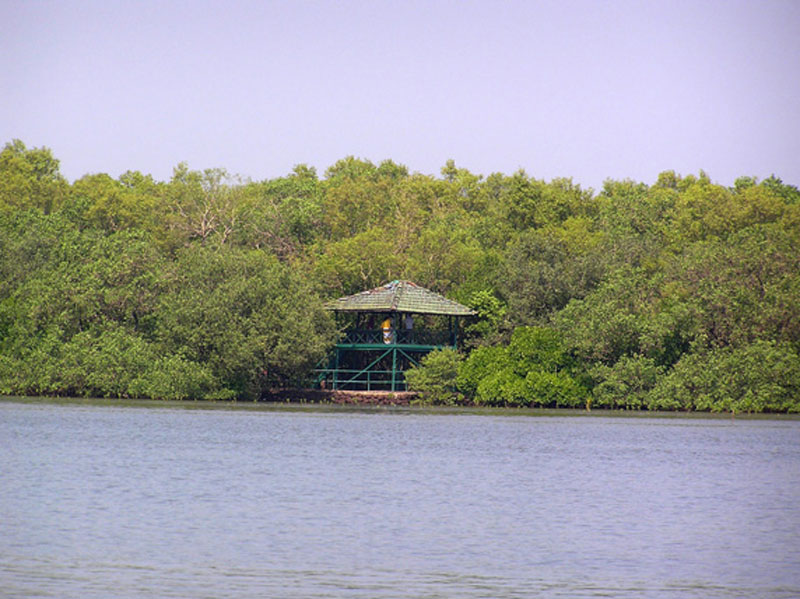 Salim Ali Lake And Bird Sanctuary