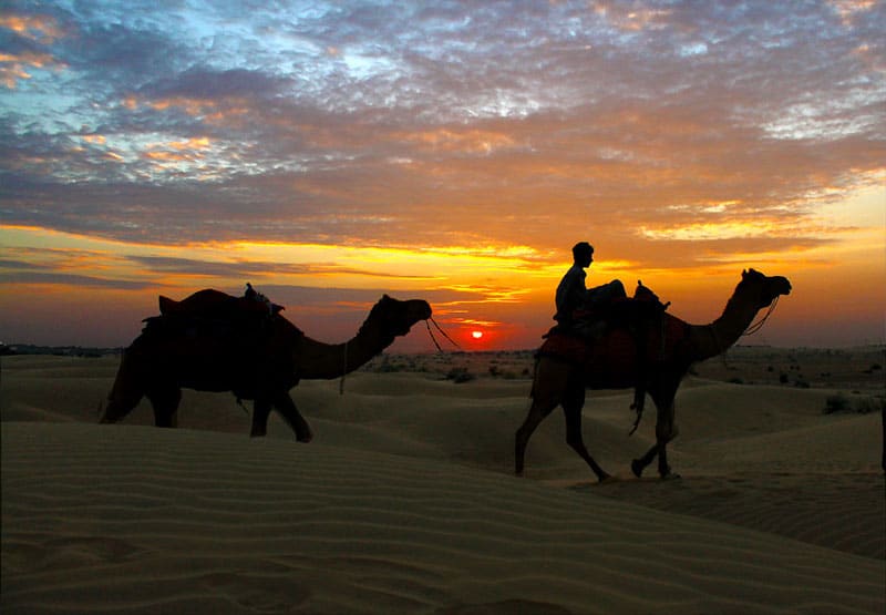 Sam Sand Dunes Jaisalmer