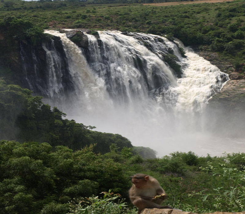 Shivanasamundra Falls Bangalore