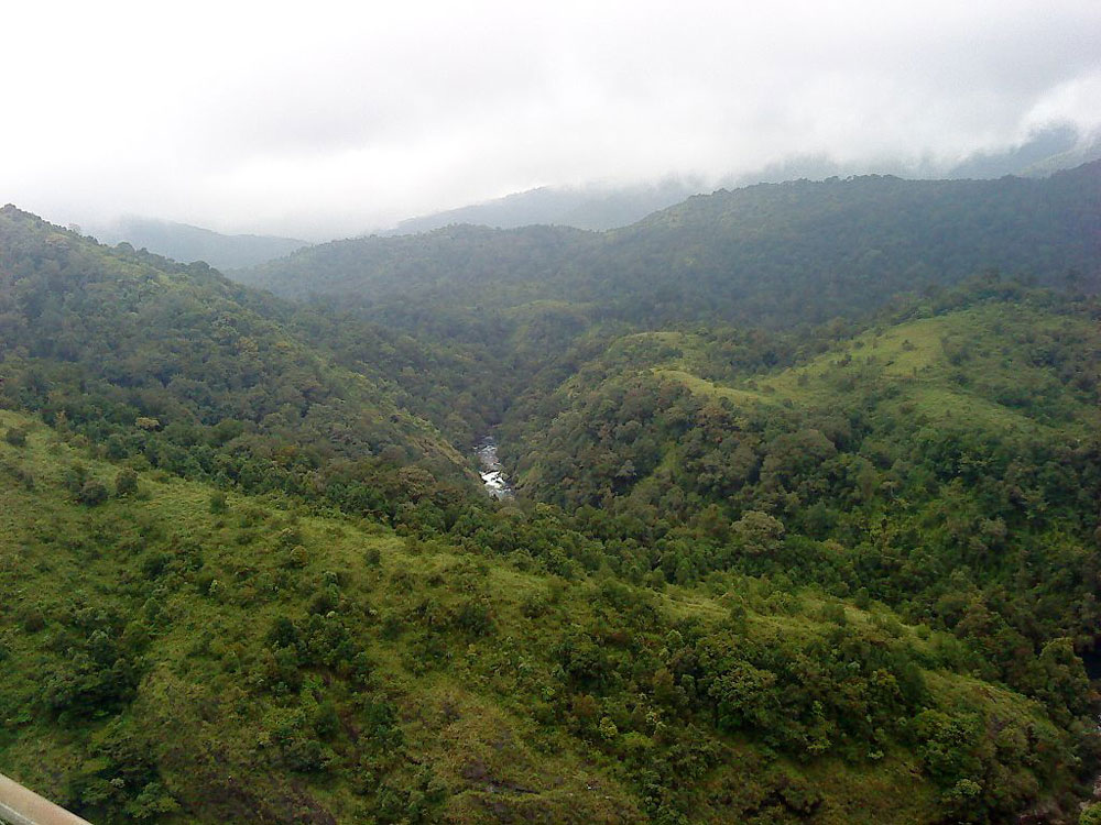 Silent Valley National Park, Palakkad