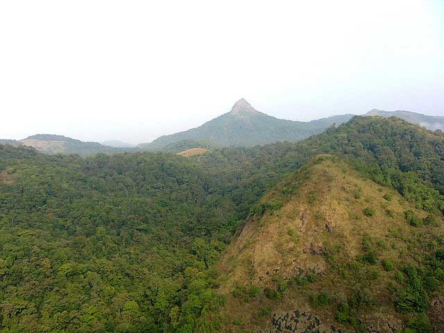 silent-valley-national-park3