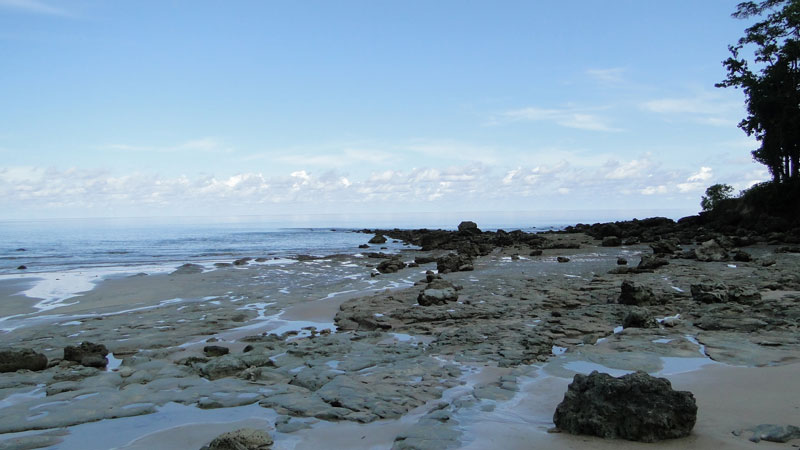 Sitapura Beach Neil Island