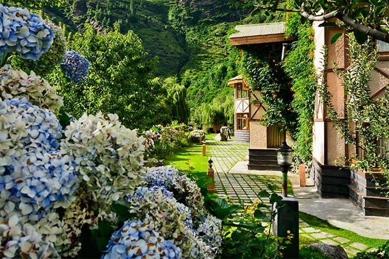 Solang Valley Resort