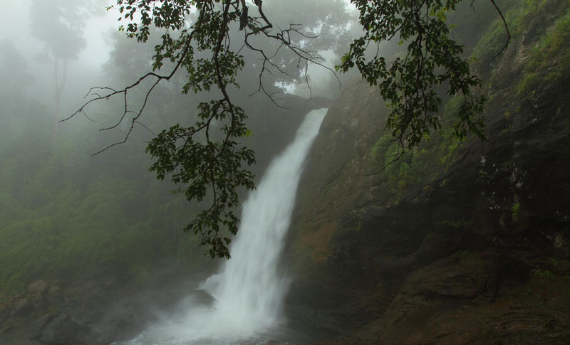 Soochippara Waterfalls Wayanad