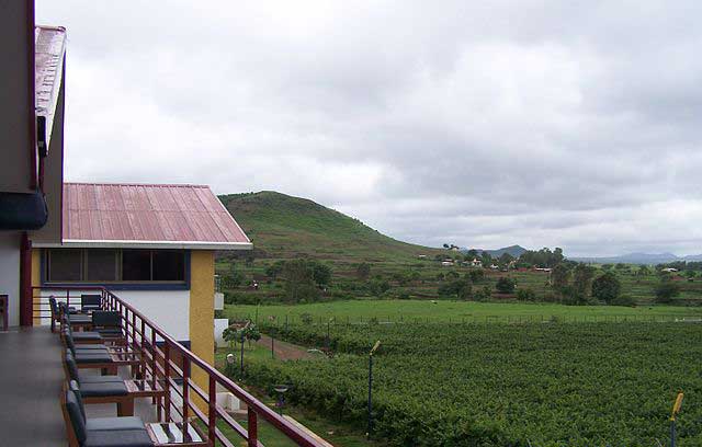 sula-vineyards