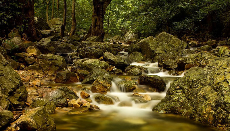 Tada Falls, Chitoor