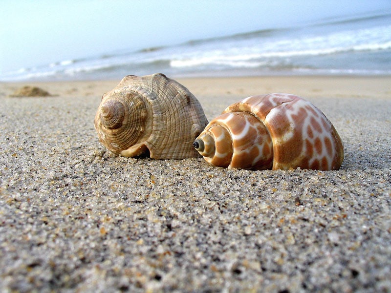 Tannirbhavi Beach