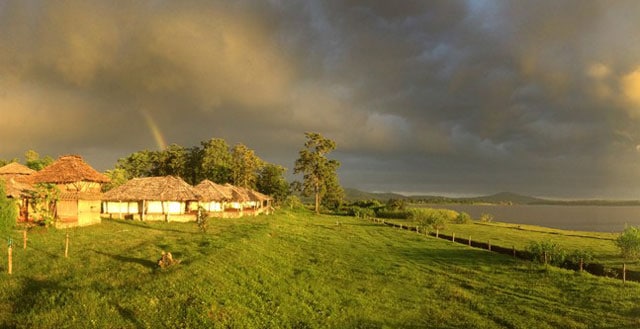 The Bison, Kabini