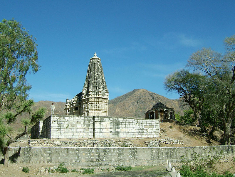 The Surya Narayan Temple