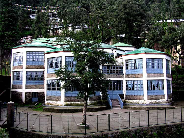 Tibetan Childrens Village