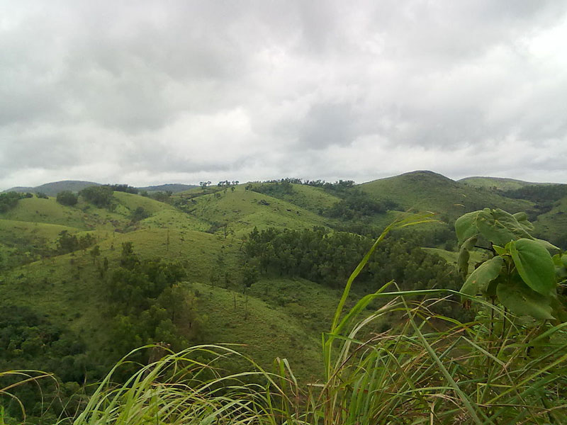 Vagamon Hills