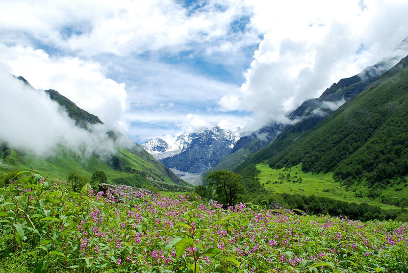 Valley of Flowers National Park, Uttarakhand