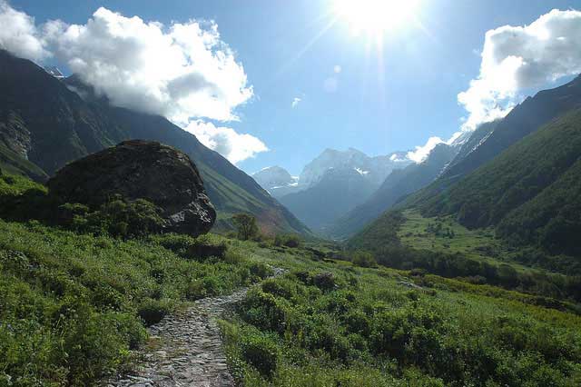 valley-of-flowers