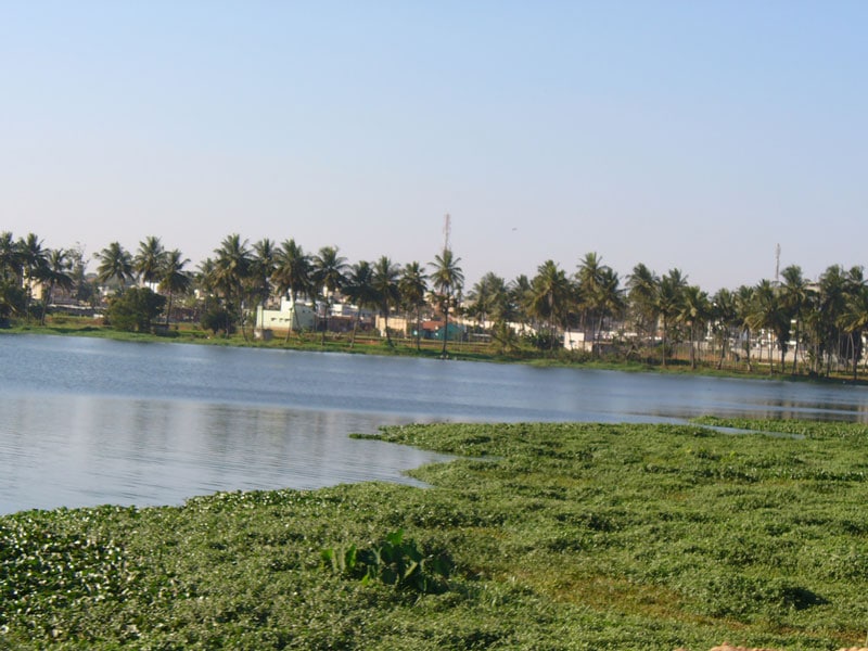 Varthur Lake