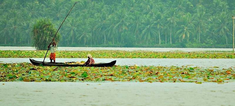 Vellayani Lake