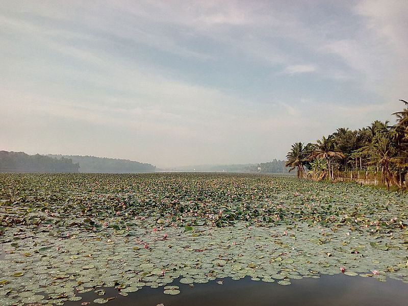 Vellayani Lake Kovlam