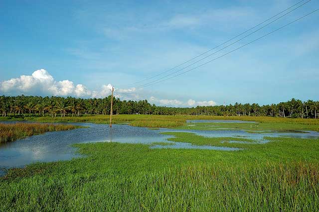 vellayani-lake