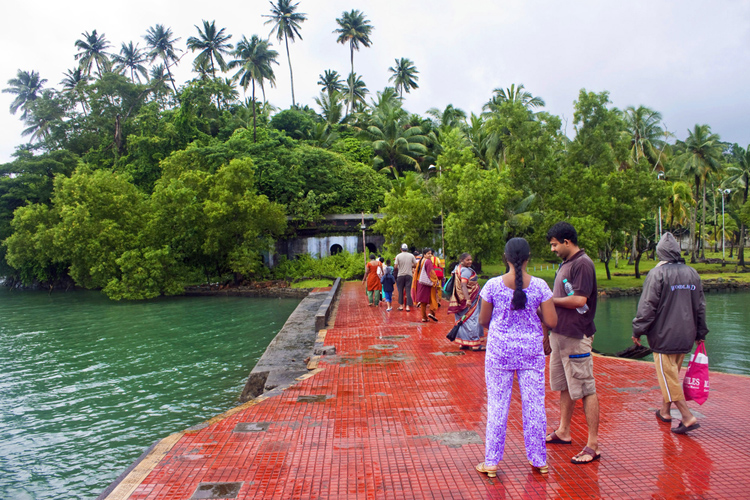 Viper Island