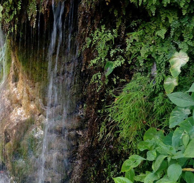 Waterfall At Sahastradhara