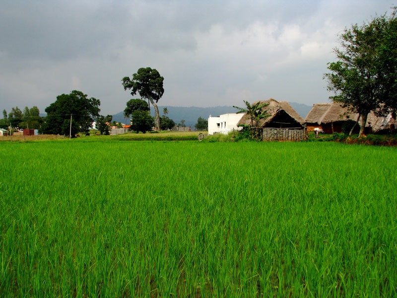 Yelagiri, Tamil Nadu