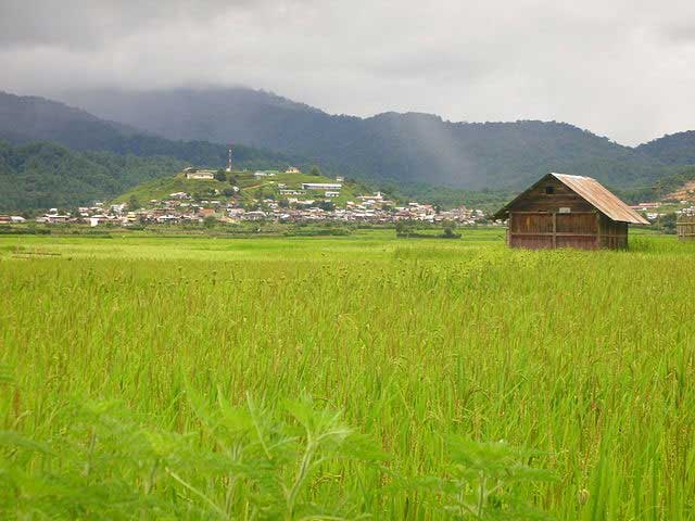 ziro-puto